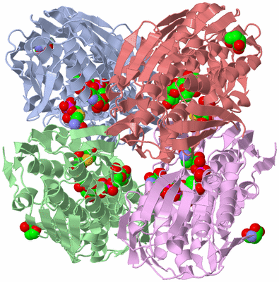 Image Biological Unit 13