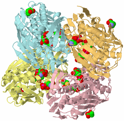 Image Biological Unit 14