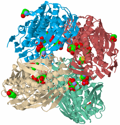 Image Biological Unit 15