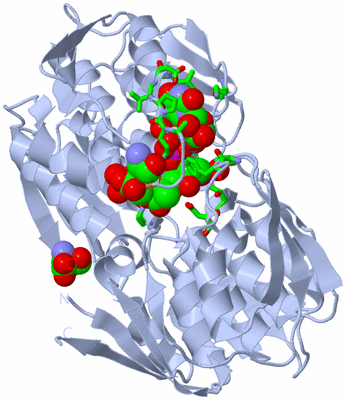 Image Biol. Unit 1 - sites