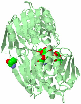 Image Biological Unit 2