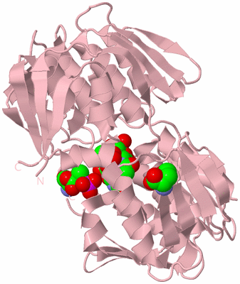 Image Biological Unit 3