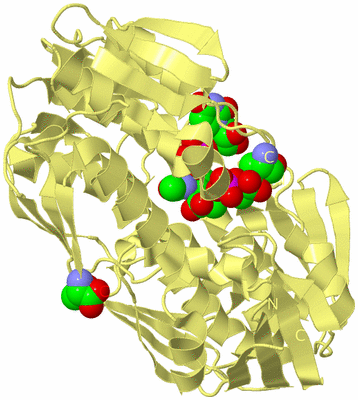 Image Biological Unit 4