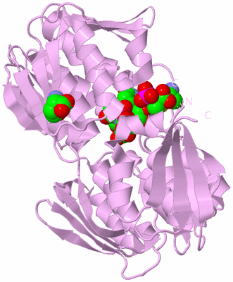 Image Biological Unit 5