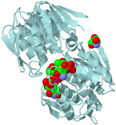 Image Biological Unit 6