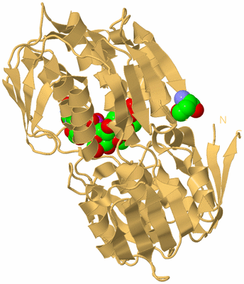 Image Biological Unit 7