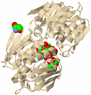 Image Biological Unit 9