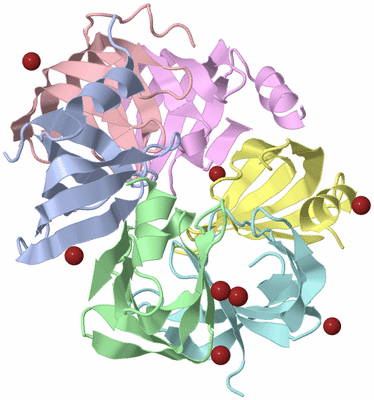 Image Biological Unit 1