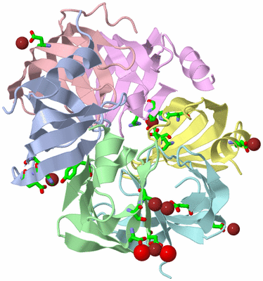 Image Biol. Unit 1 - sites