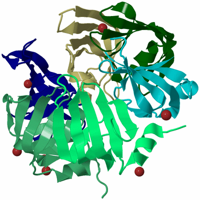 Image Biological Unit 2