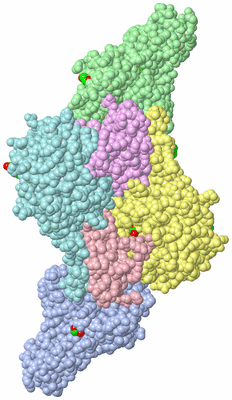 Image Asym./Biol. Unit