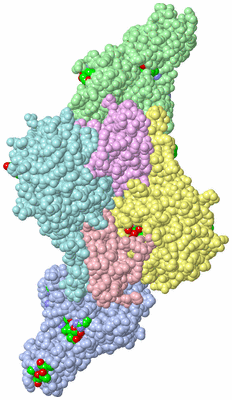 Image Asym./Biol. Unit - sites