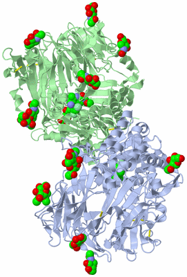 Image Asym./Biol. Unit