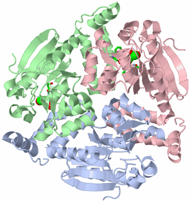 Image Asym./Biol. Unit - sites