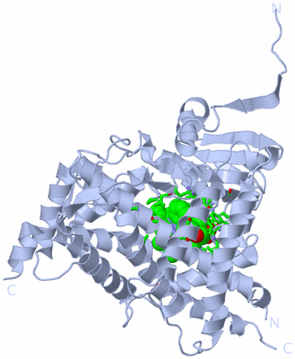 Image Biol. Unit 1 - sites