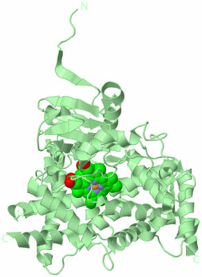 Image Biological Unit 2