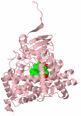 Image Biological Unit 3