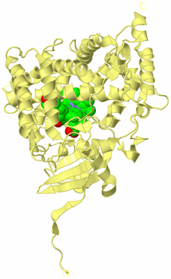 Image Biological Unit 4