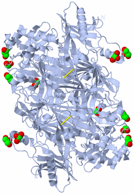 Image Biological Unit 1