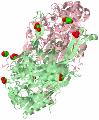 Image Biological Unit 2