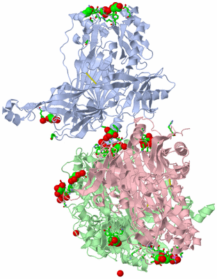 Image Asym. Unit - sites