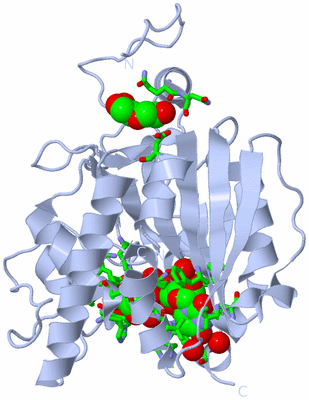 Image Biol. Unit 1 - sites