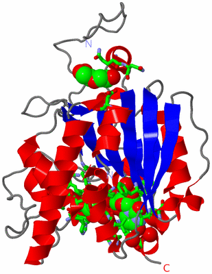 Image Asym. Unit - sites