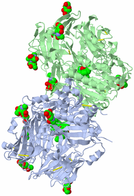 Image Asym./Biol. Unit