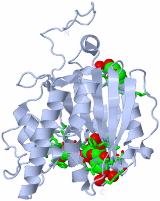 Image Biol. Unit 1 - sites