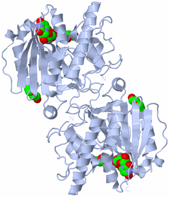 Image Biological Unit 2