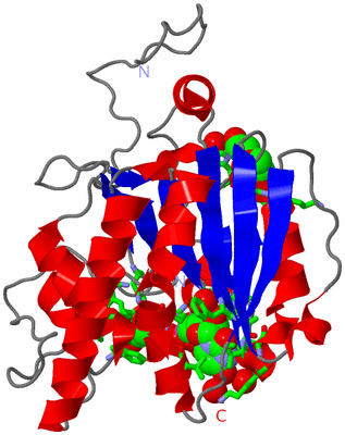 Image Asym. Unit - sites