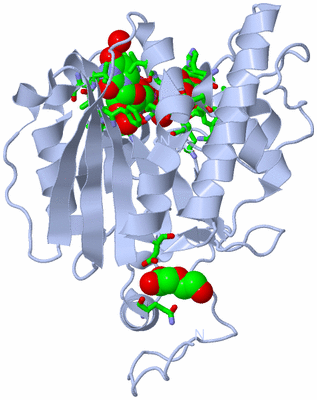 Image Biol. Unit 1 - sites