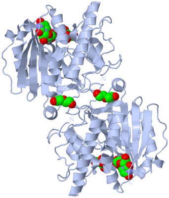 Image Biological Unit 2