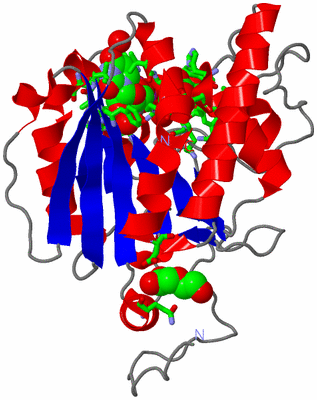 Image Asym. Unit - sites