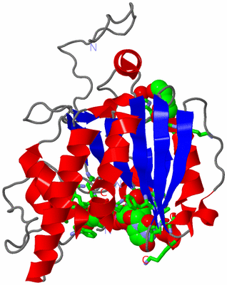 Image Asym. Unit - sites