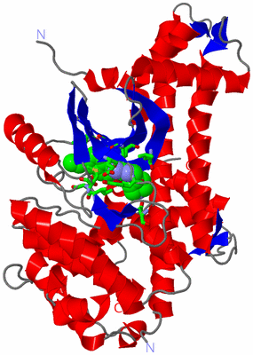 Image Asym./Biol. Unit - sites