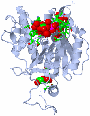 Image Biol. Unit 1 - sites