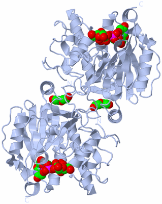 Image Biological Unit 2