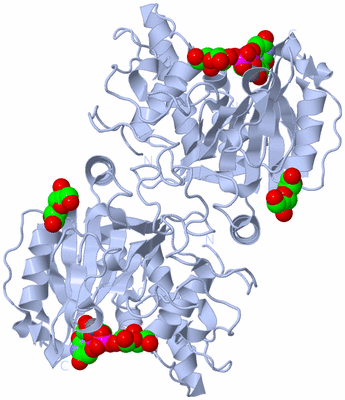 Image Biological Unit 2