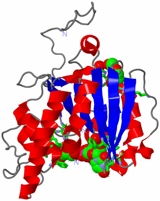 Image Asym. Unit - sites