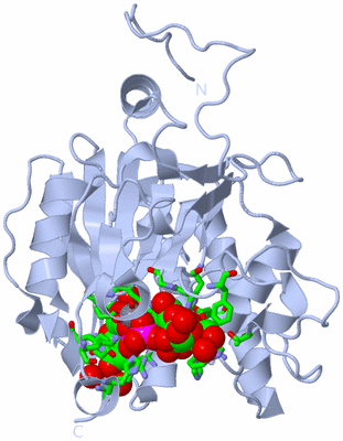 Image Biol. Unit 1 - sites