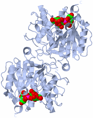 Image Biological Unit 2