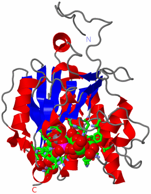 Image Asym. Unit - sites