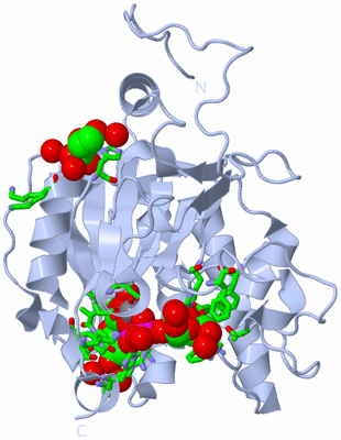 Image Biol. Unit 1 - sites