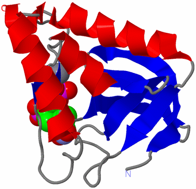 Image Asym./Biol. Unit