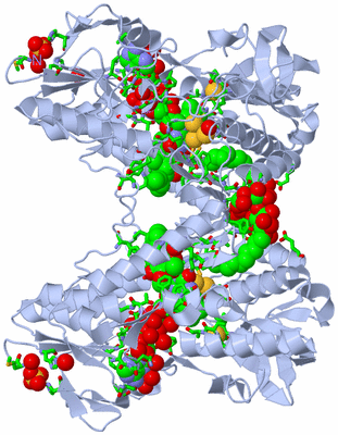 Image Biol. Unit 1 - sites