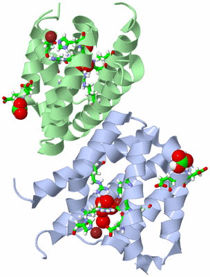 Image Asym./Biol. Unit - sites