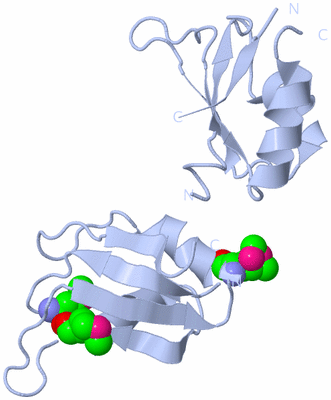 Image Biological Unit 1