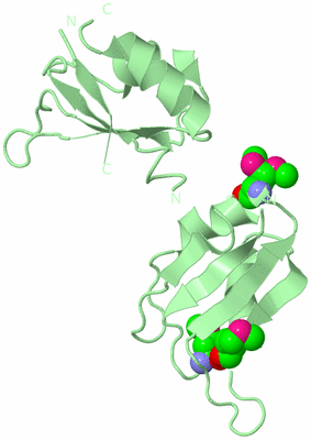 Image Biological Unit 2