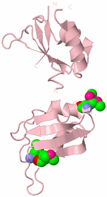 Image Biological Unit 3